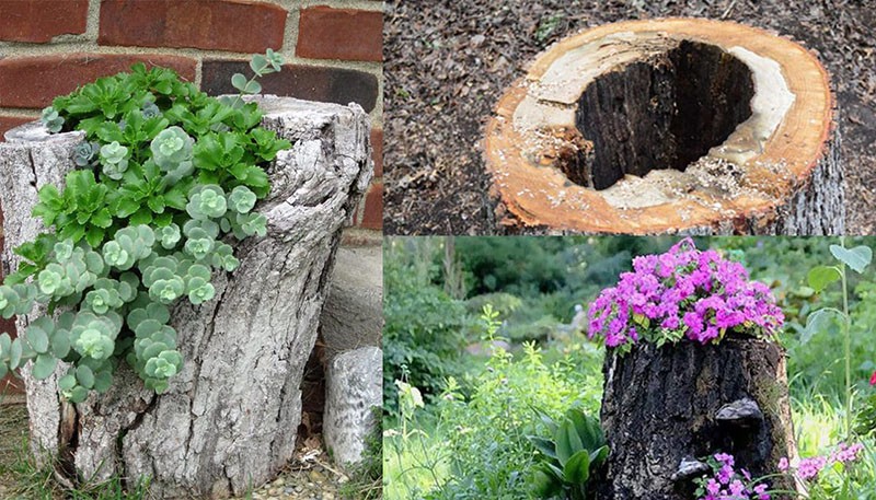 como decorar un tocón de árbol