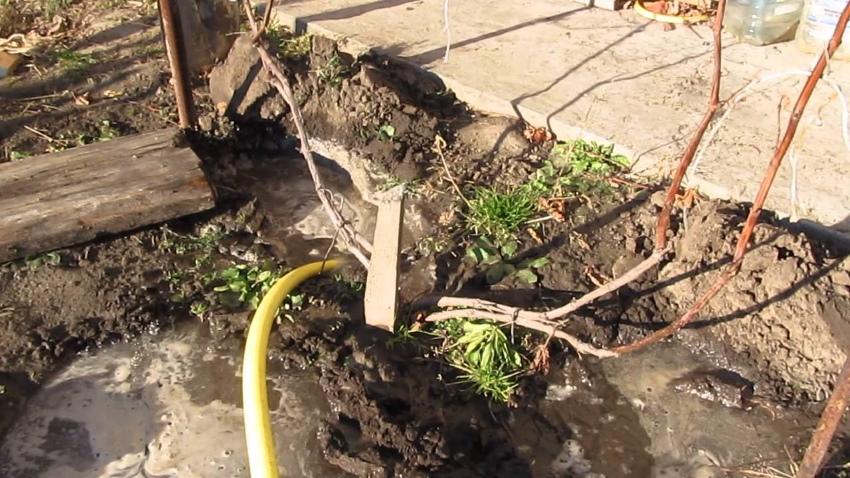 riego de carga de agua en otoño