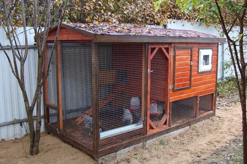 poulailler naturellement ventilé