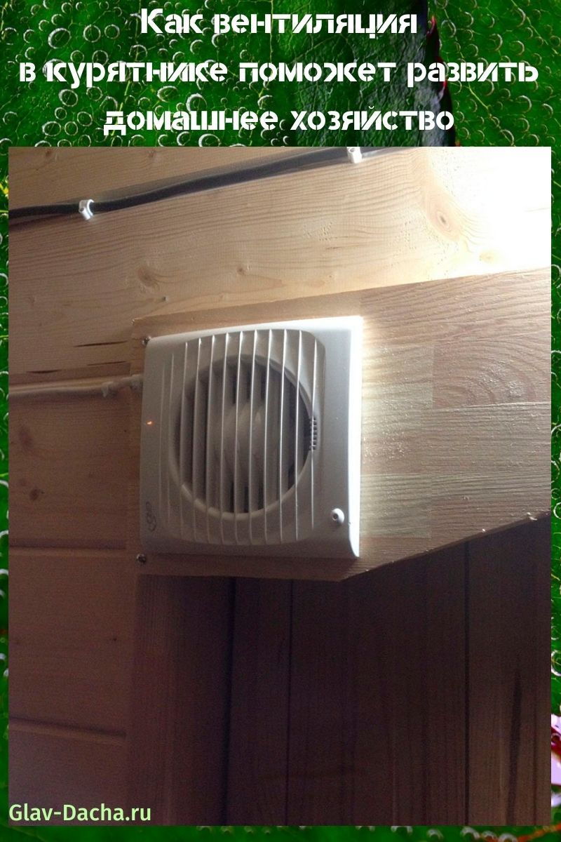 ventilation dans le poulailler