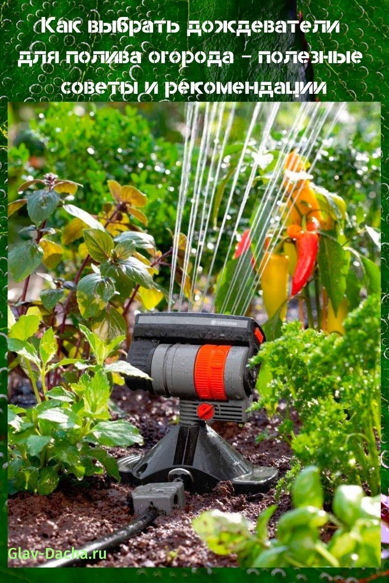 Cómo elegir aspersores para regar su jardín