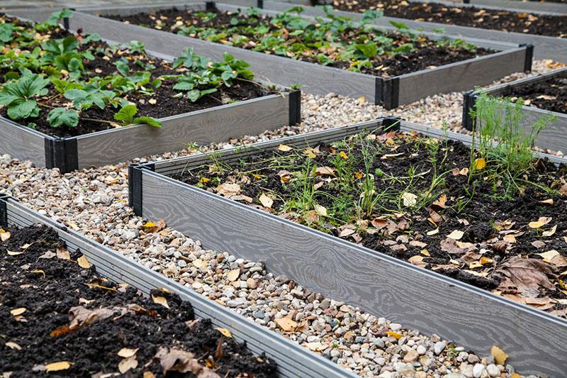 camas de verduras