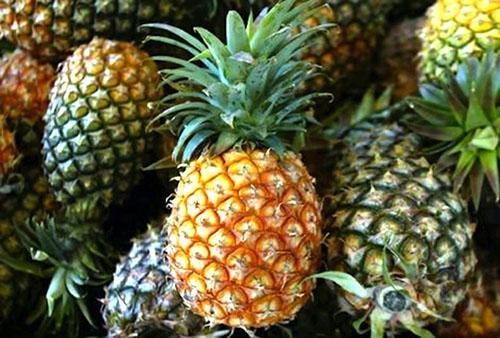 Le fruit mûr a l'écorce brun doré et la crête verte