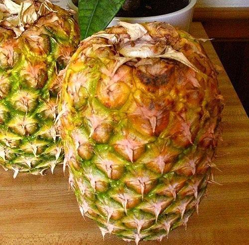 Voici comment l'ananas est conservé à la maison pour mûrir