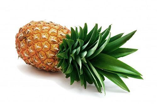 Sous réserve de certaines règles, l'ananas peut être conservé jusqu'à 14 jours.