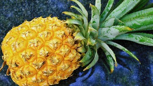 L'ananas mûr a un bel ananas