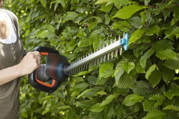cómo elegir tijeras de jardín para un área grande