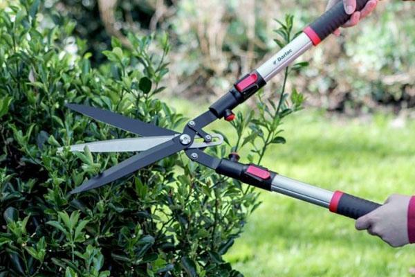 comment choisir des cisailles de jardin