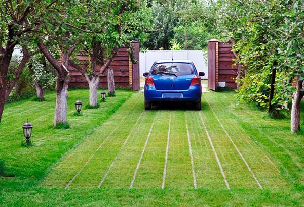 estacionamiento en el campo