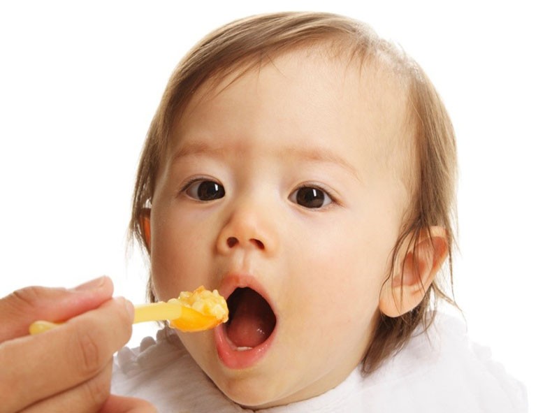 huevos de gallina de Guinea en la nutrición infantil