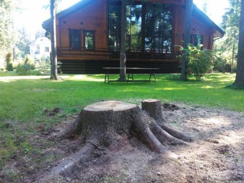 cómo arrancar el tocón de un árbol