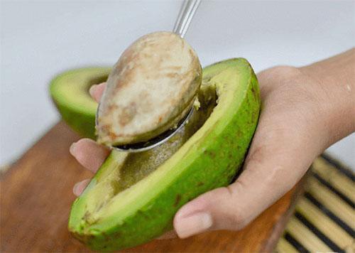 preparar la semilla de aguacate para la germinación