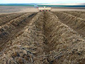 Organización de camas en grandes áreas.