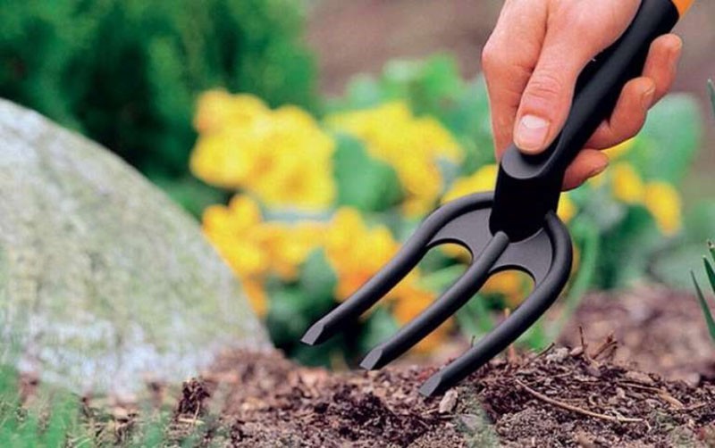 préparation du sol pour la plantation de roses