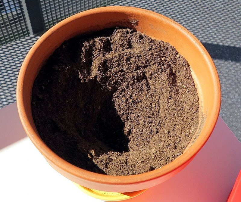 pot de milieu nutritif