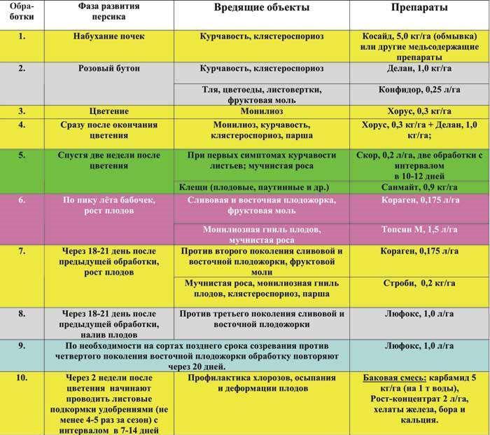 calendrier de traitement des pêches dans la région de Moscou