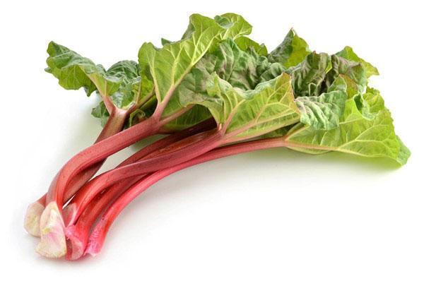 couper la rhubarbe
