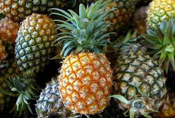 ananas