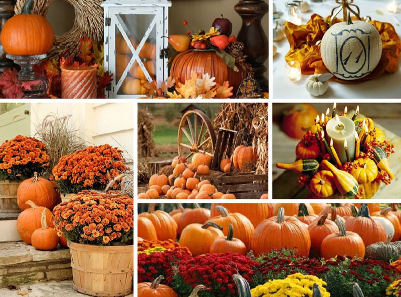 types de citrouilles pour la décoration