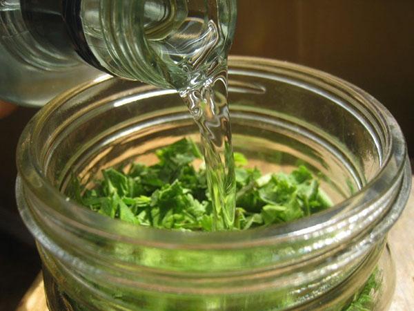 infusión de alcohol de tomillo