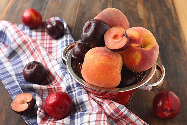 pêches et prunes pour compote