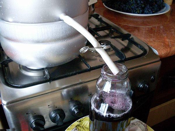 décanter le jus d'aronia noir