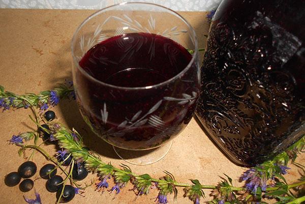 boisson vitaminée à l'aronia noir