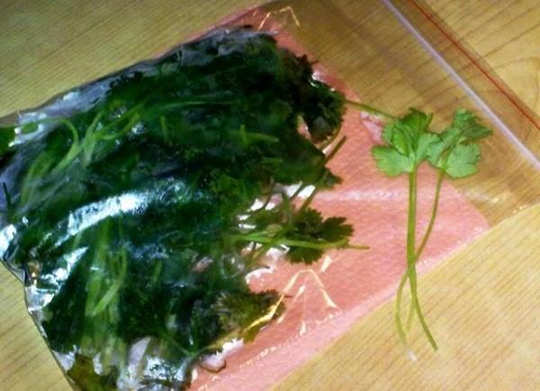 cilantro congelado en una bolsa