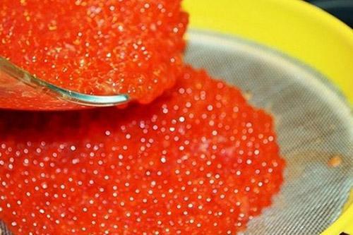 poner el caviar en un colador