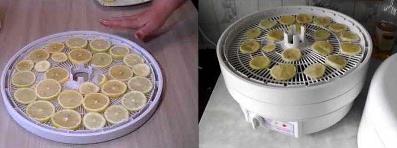 cómo secar limón para decorar en una secadora eléctrica