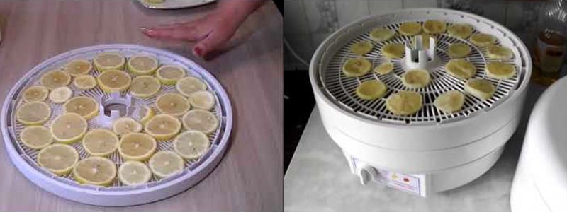 comment sécher le citron pour la décoration dans un sèche-linge électrique