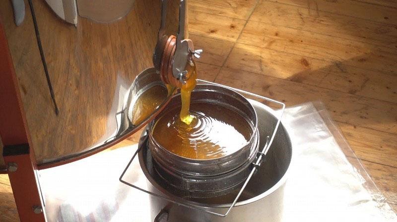 llenando el recipiente con miel