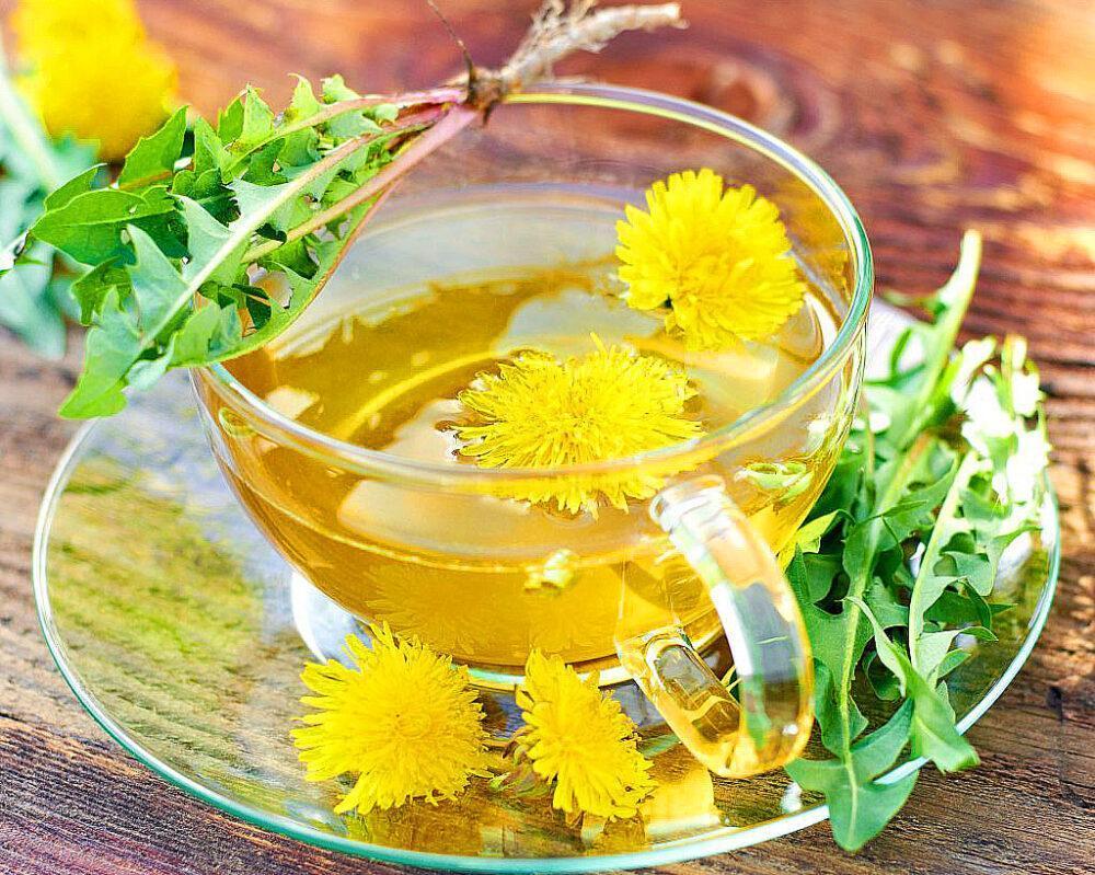 El té de diente de león no es bueno para todos