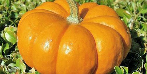 Los pacientes con diabetes pueden comer calabaza en pequeñas cantidades.