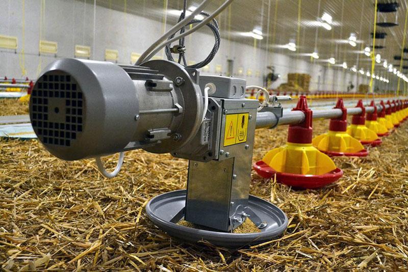 mangeoires en spirale sur une ferme avicole