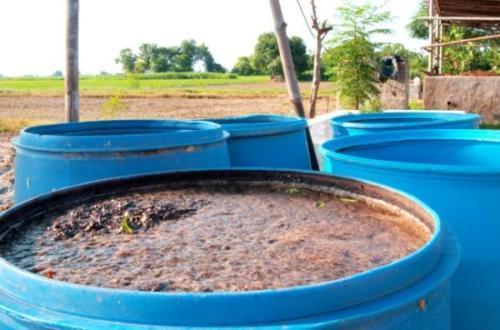 Fertilizante ecológico - gordolobo