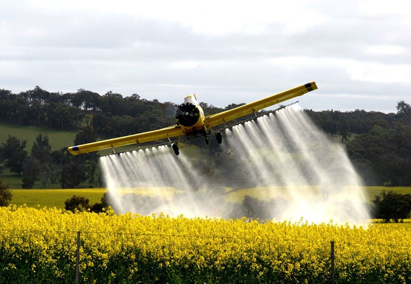 tratamiento con insecticida