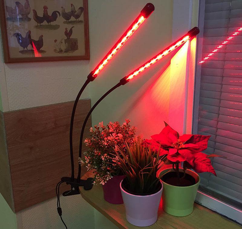 iluminación complementaria de plantas