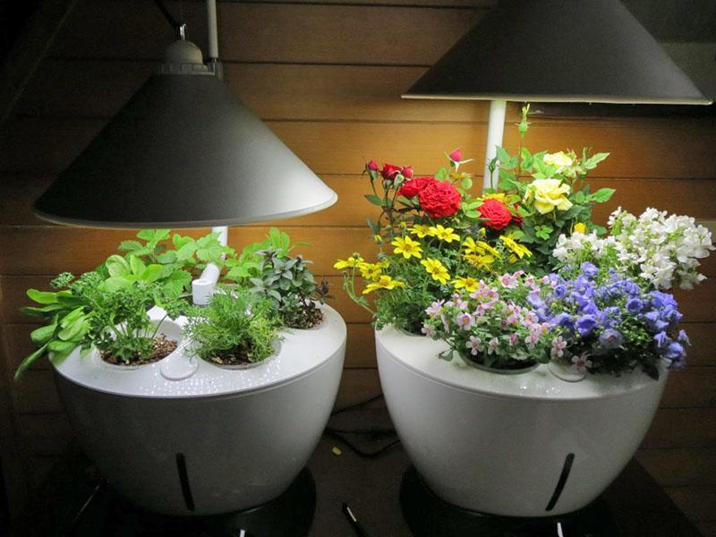 lámparas vegetales eficientes