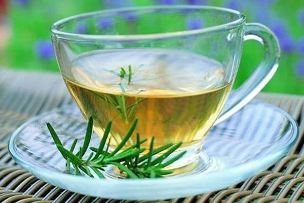 decocciones de thuja