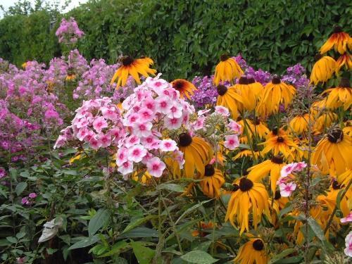 quelles vivaces fleurissent tout l'été