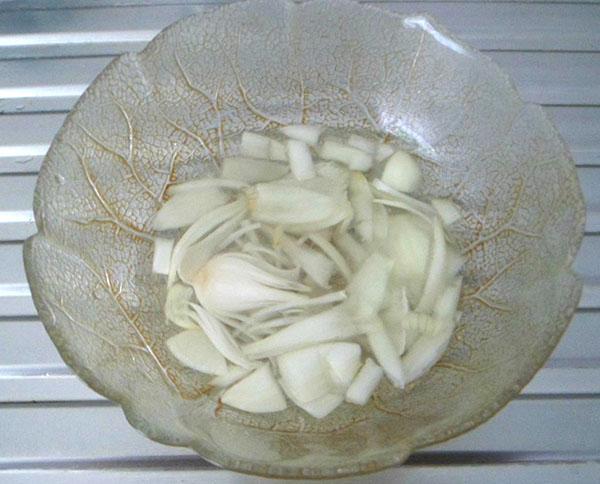 infusion d'oignons de vers