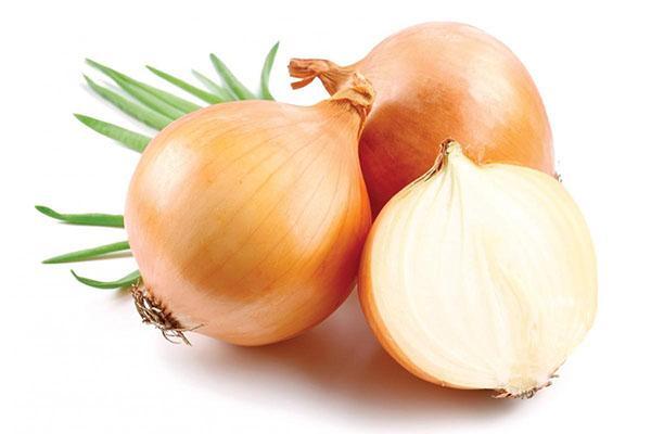 propriétés utiles des oignons