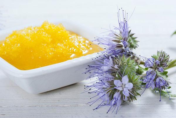 propiedades útiles de la miel de phacelia