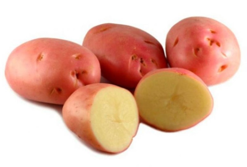 pommes de terre cerises ou bellarose