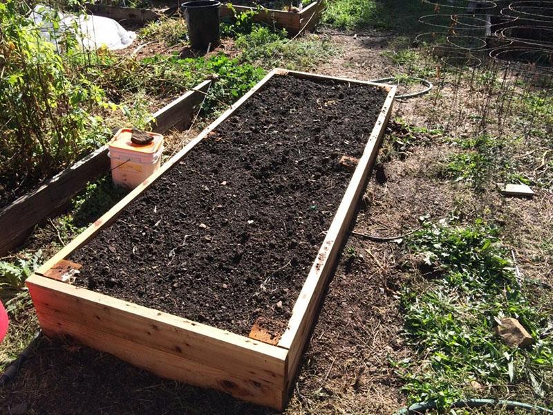 Preparando el jardín para plantar hortalizas en otoño.