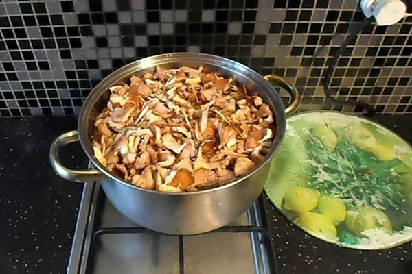 cuisson des champignons au miel frais