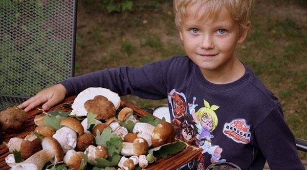 les enfants de moins de 7 ans ne doivent pas utiliser de champignons