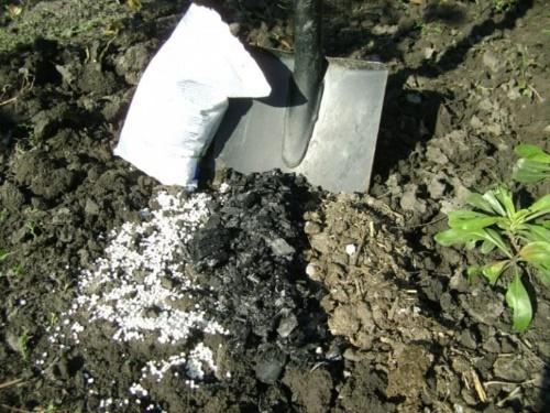 qué fertilizantes se necesitan en la primavera para el jardín