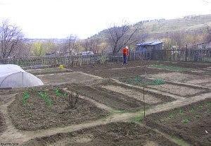 jardin au printemps